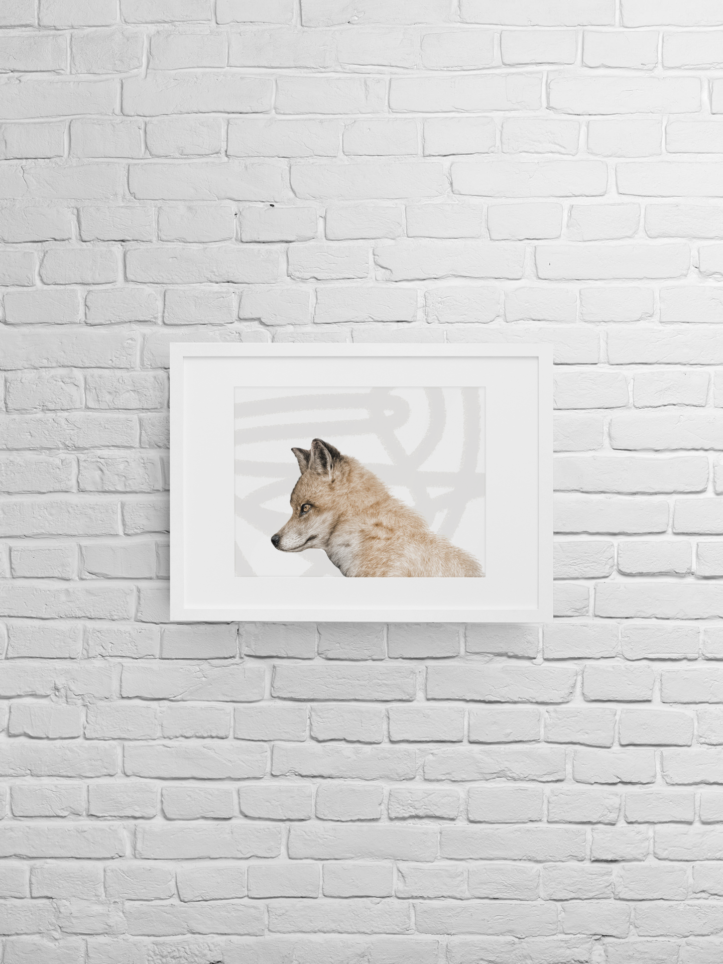 The Fox