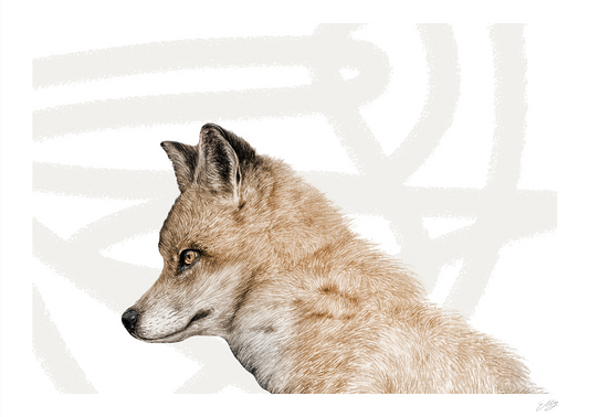 The Fox