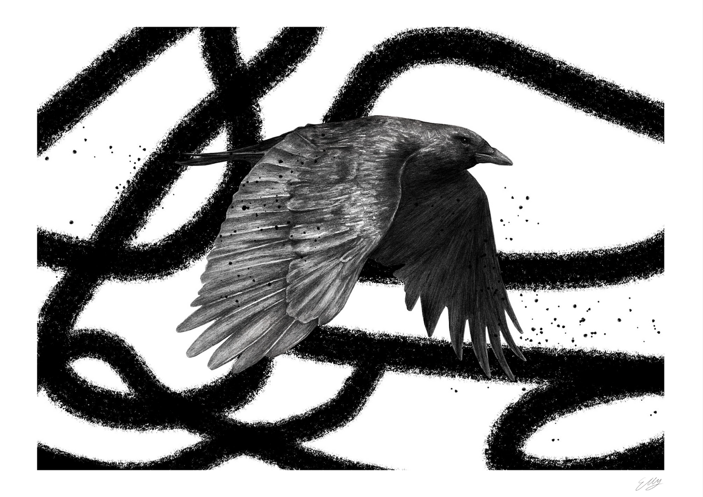 The Crow